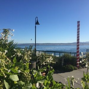 Meet your Posher, Terry